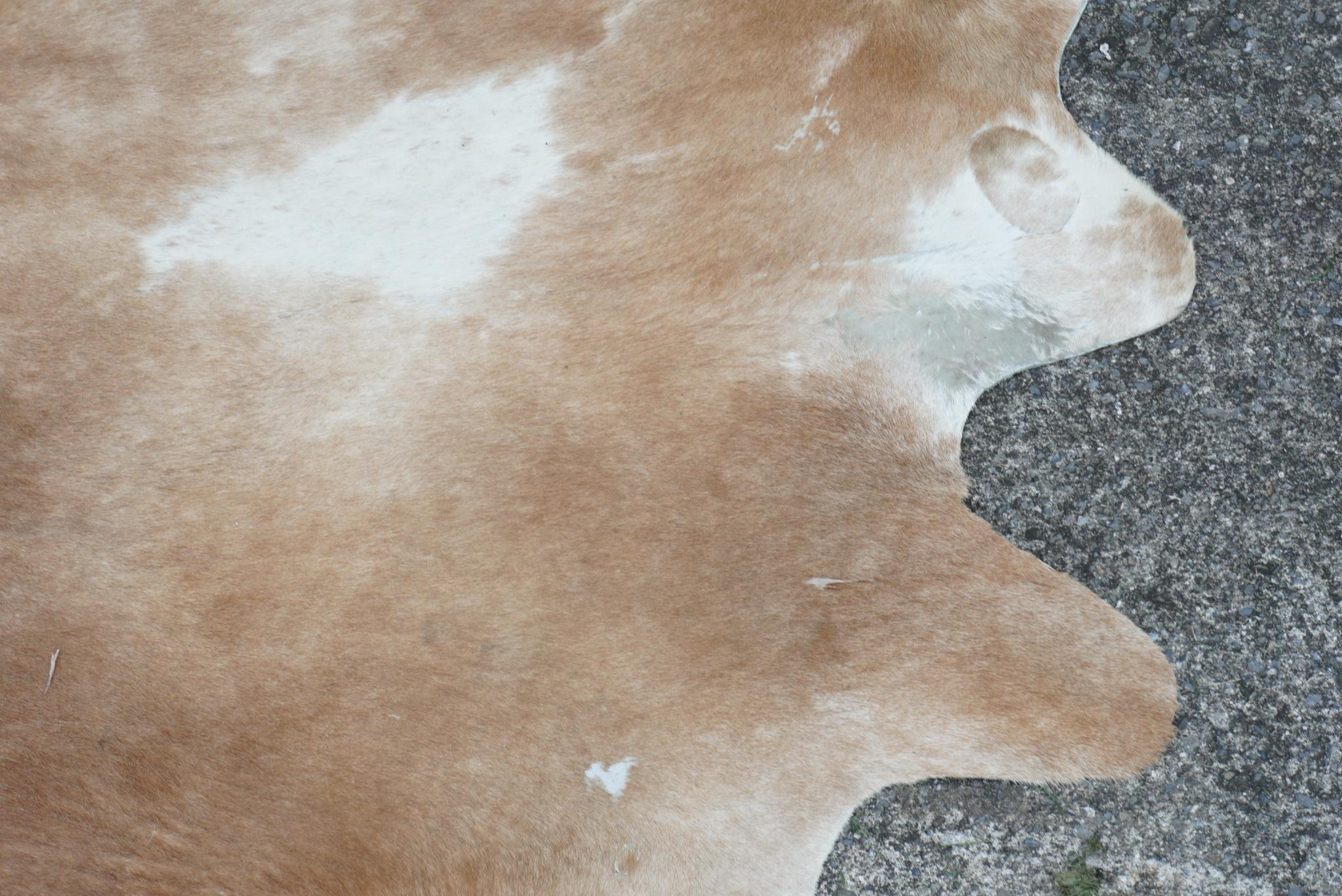 Two Vintage 1950s Cowhide Rugs 3