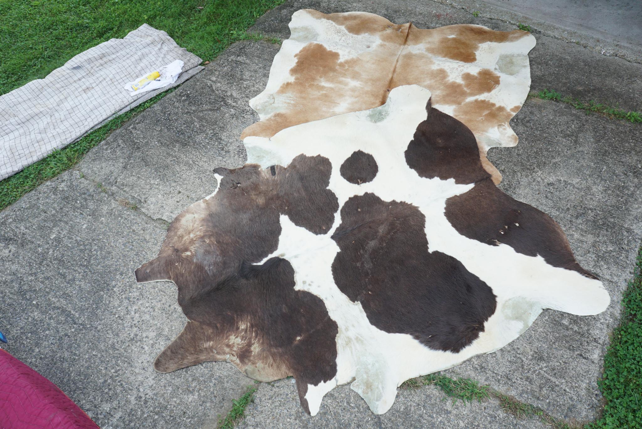 These two different cowhide rugs are from a vintage upstate NY river view home. The modern home completed in the mid-1950s had large expanses of parkay flooring, window walls and sleek modern furniture with only rugs like this to break up the