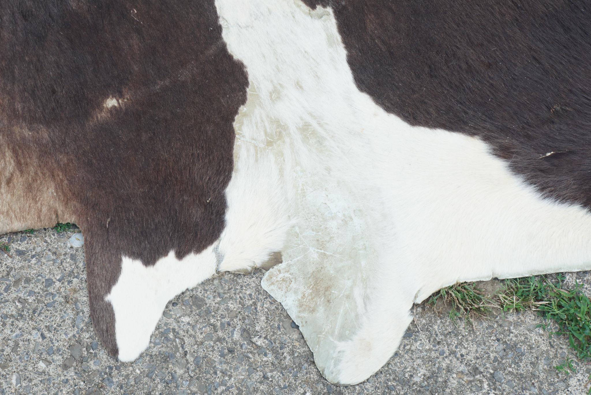 American Two Vintage 1950s Cowhide Rugs
