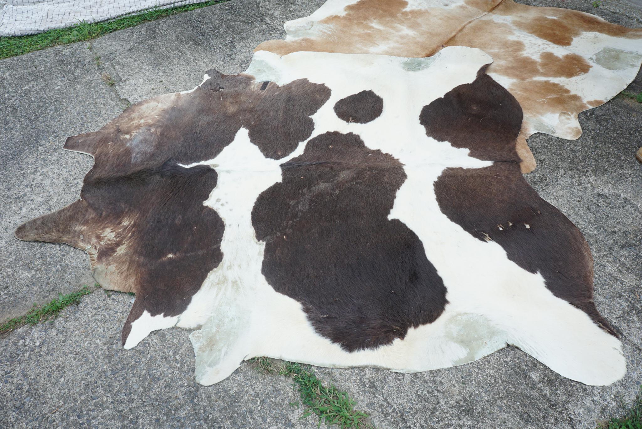 Two Vintage 1950s Cowhide Rugs In Fair Condition In Hudson, NY