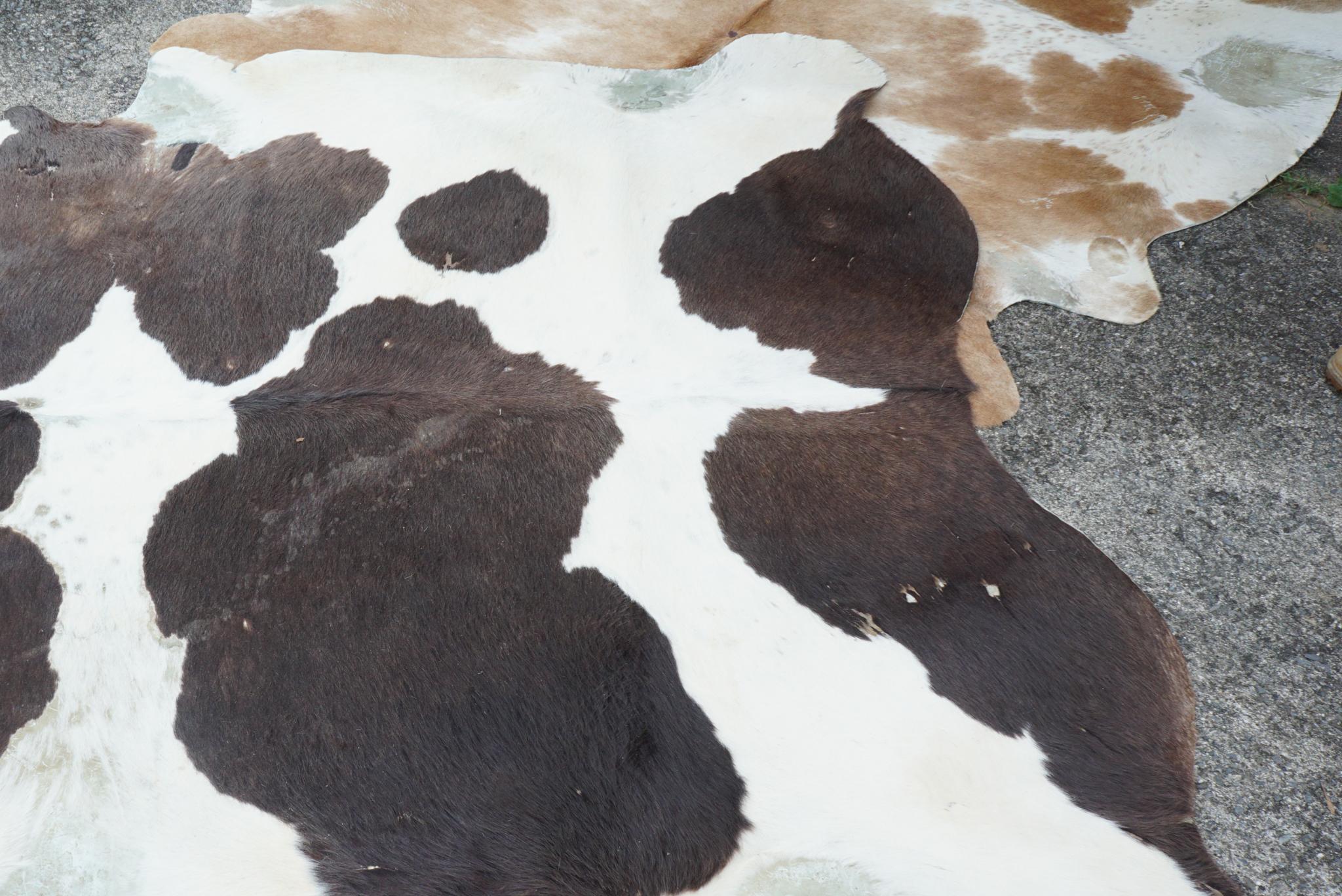 20th Century Two Vintage 1950s Cowhide Rugs