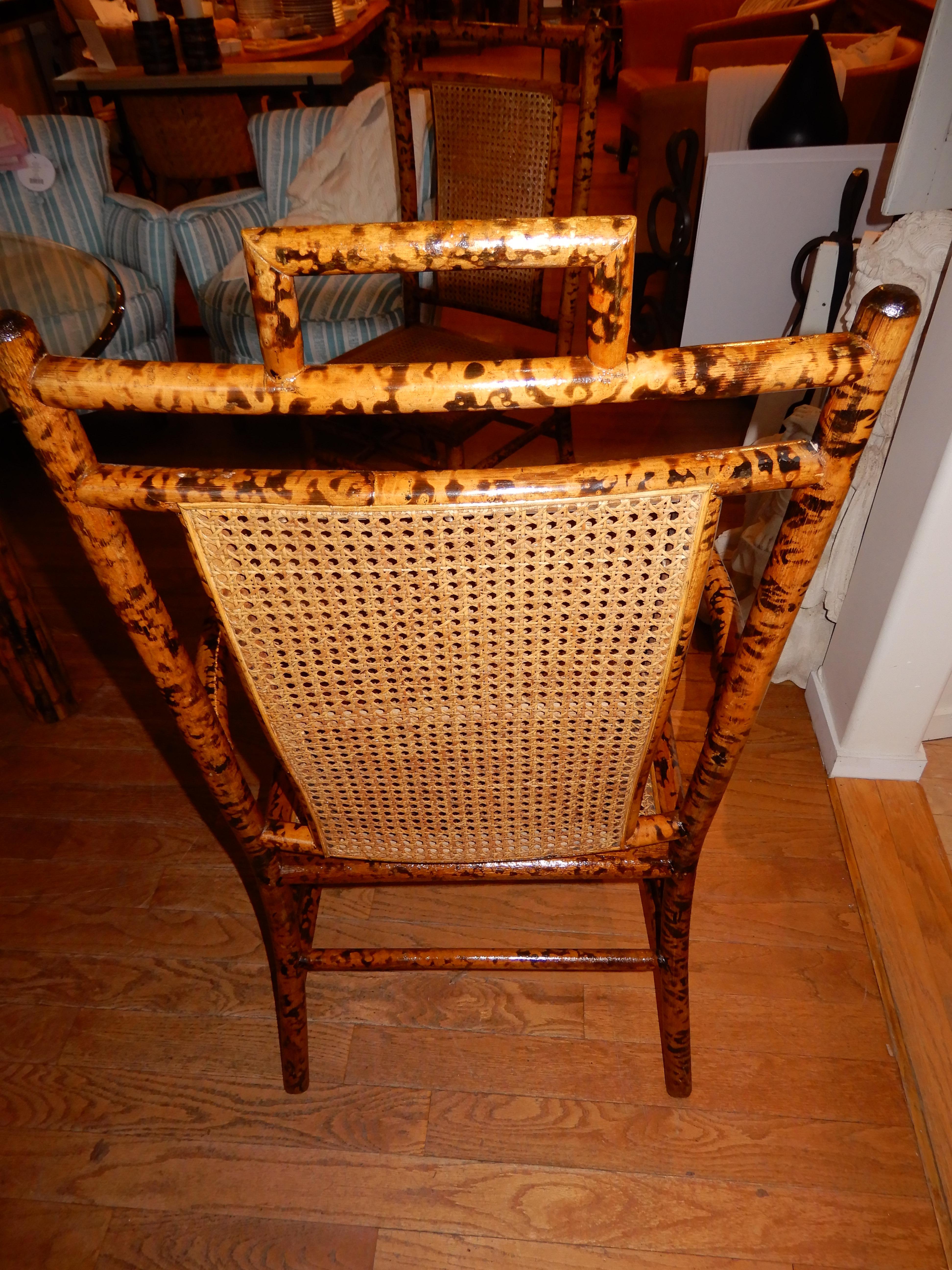 Fired Pair of Vintage Bamboo and Cane Side Chairs/Armchairs