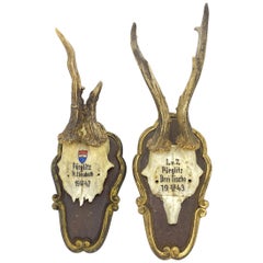 Two Vintage Black Forest Deer Antler Trophies, Wood Carved Plaque, Austria