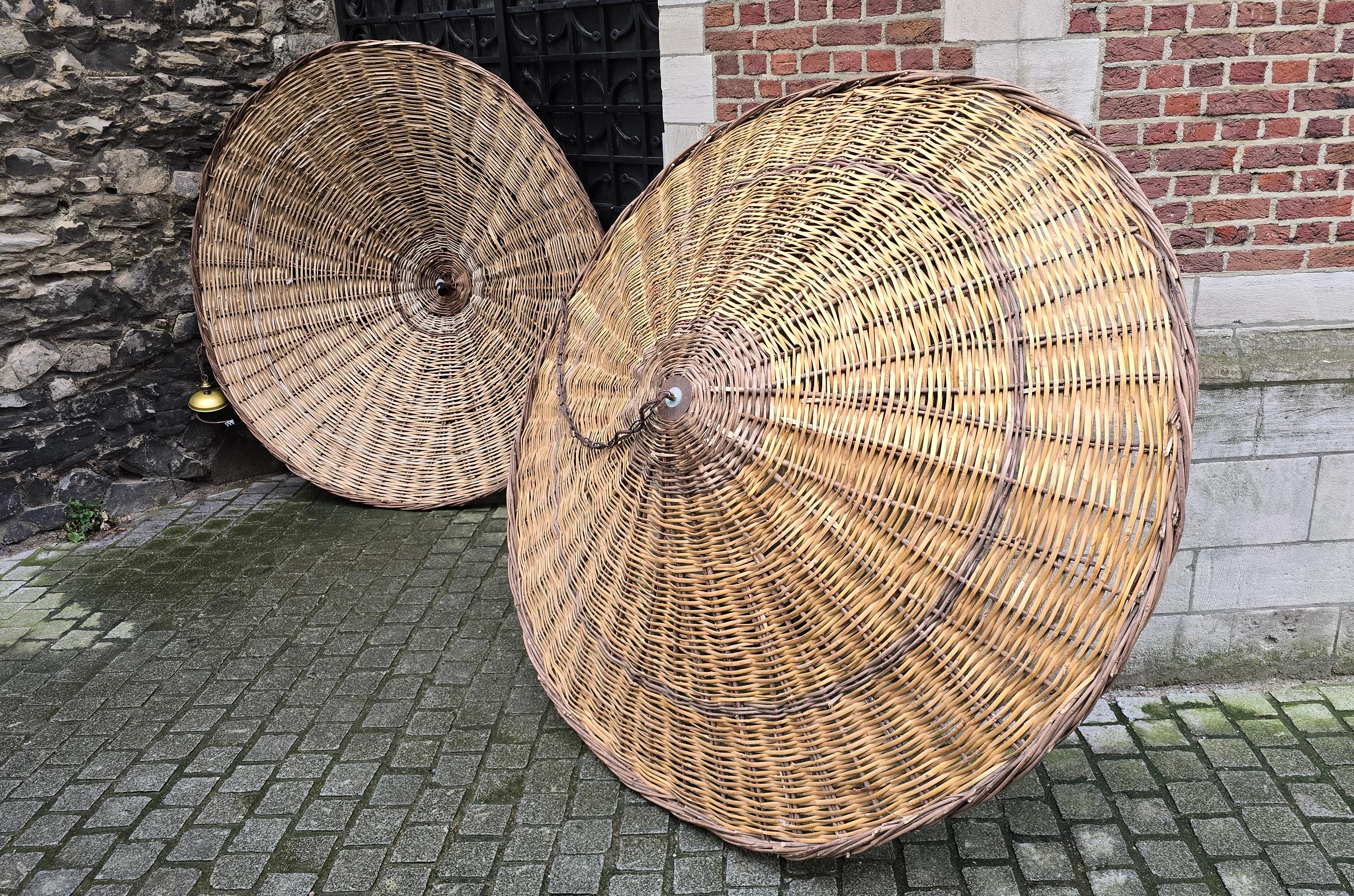 XX secolo Due lampade a sospensione in rattan vintage di dimensioni XXL Ø 67 pollici in vendita