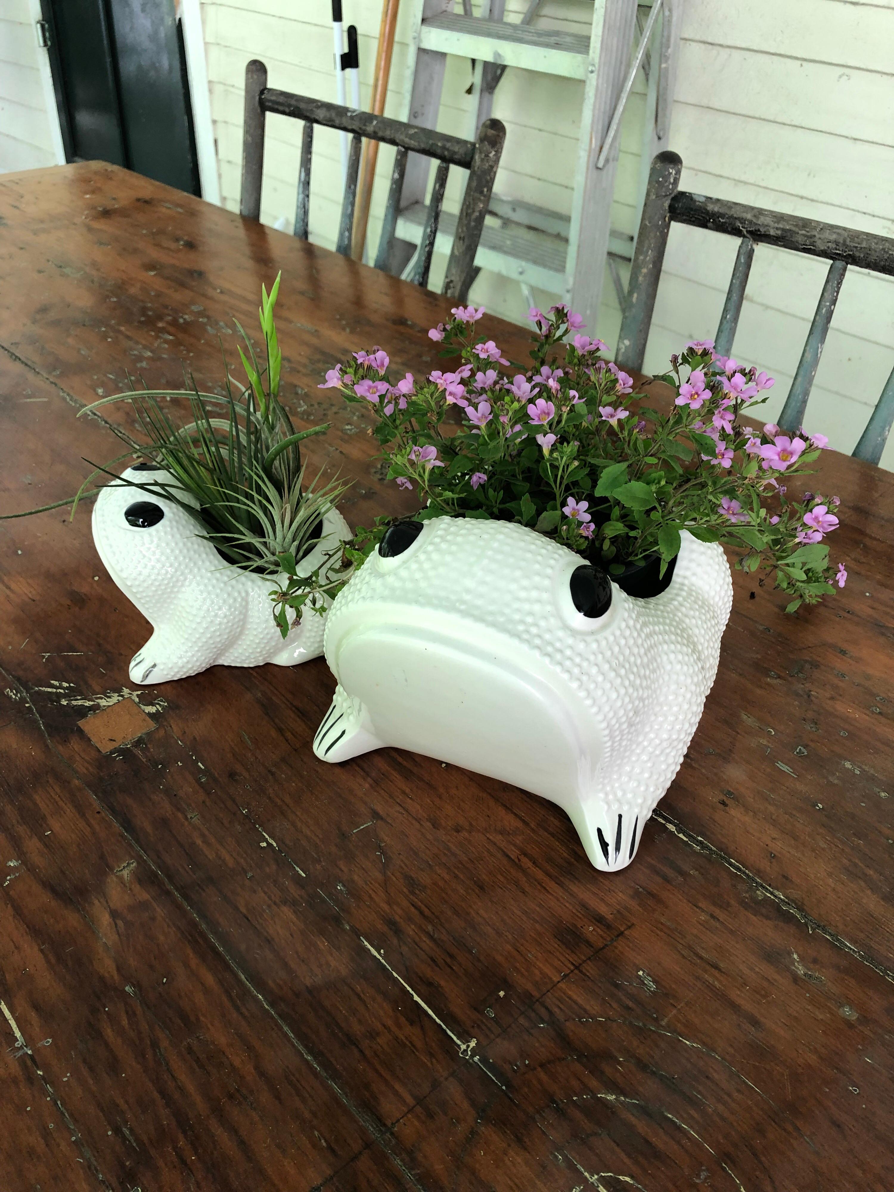Two White Toad Form Porcelain Planters 4