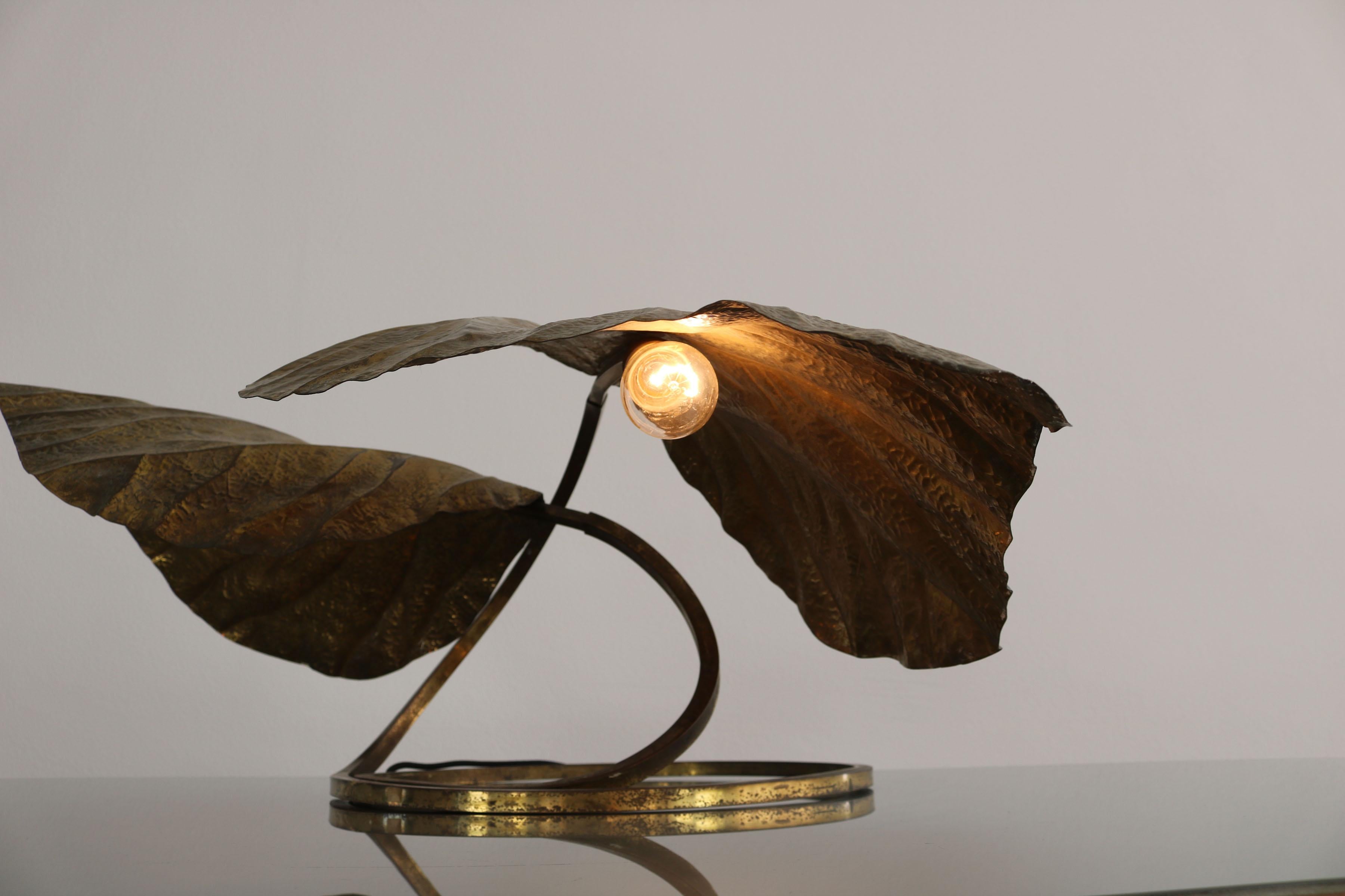 Brass Two-Wing 'Rhubarb' Table Lamp by Tommaso Barbi for Carlo Giorgi