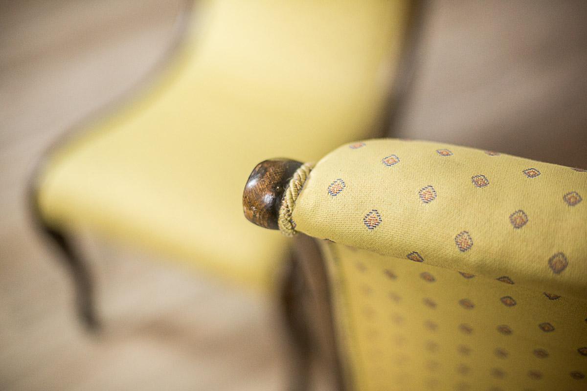 19th Century Two Yellow Swan Armchairs For Sale