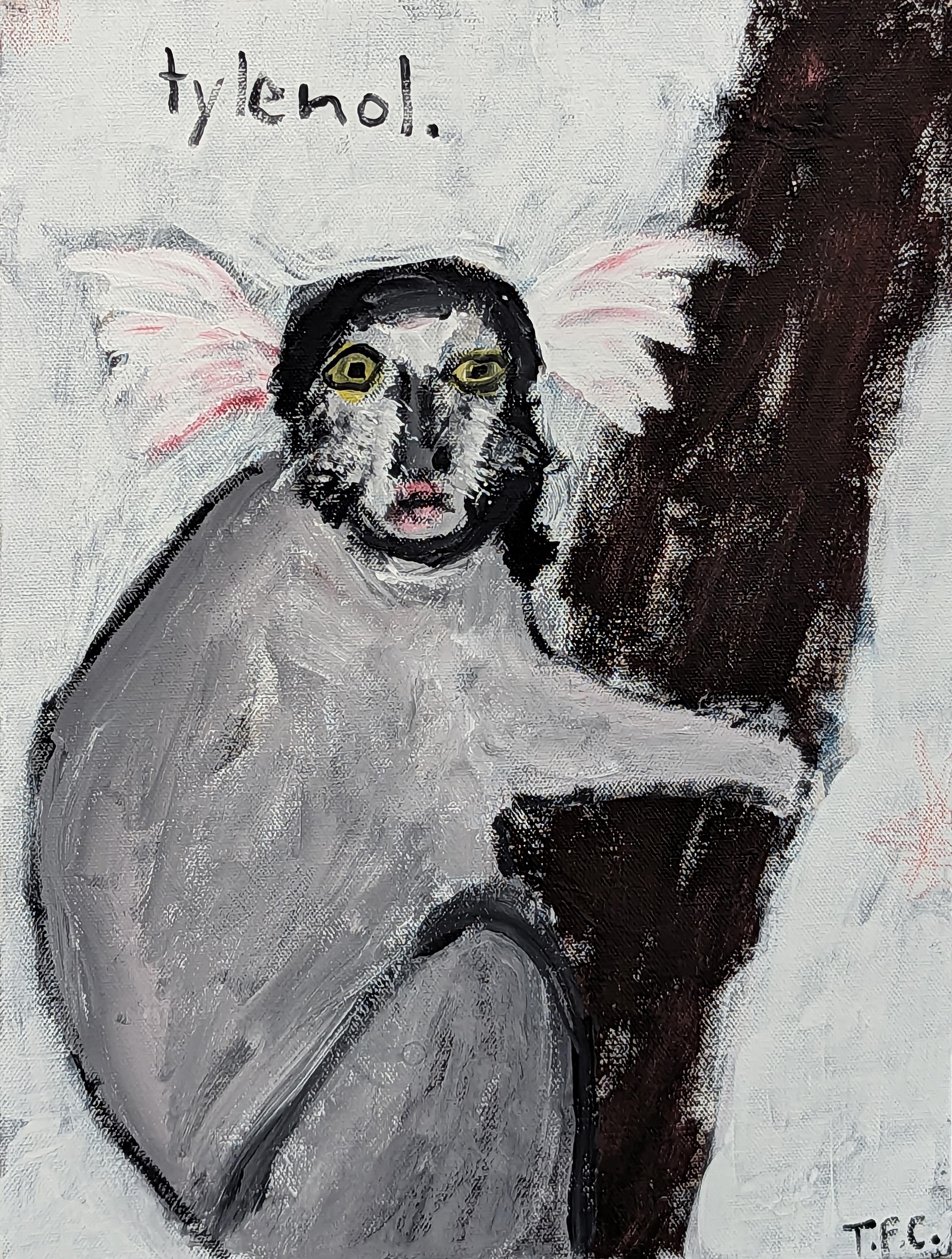 Abstract animal painting by contemporary artist Tyler Casey. The work features a gestural depiction of a marmoset with the word "Tylenol" written above it. Signed in the front lower right corner. 

Artist Biography: Tyler Casey is a self-taught