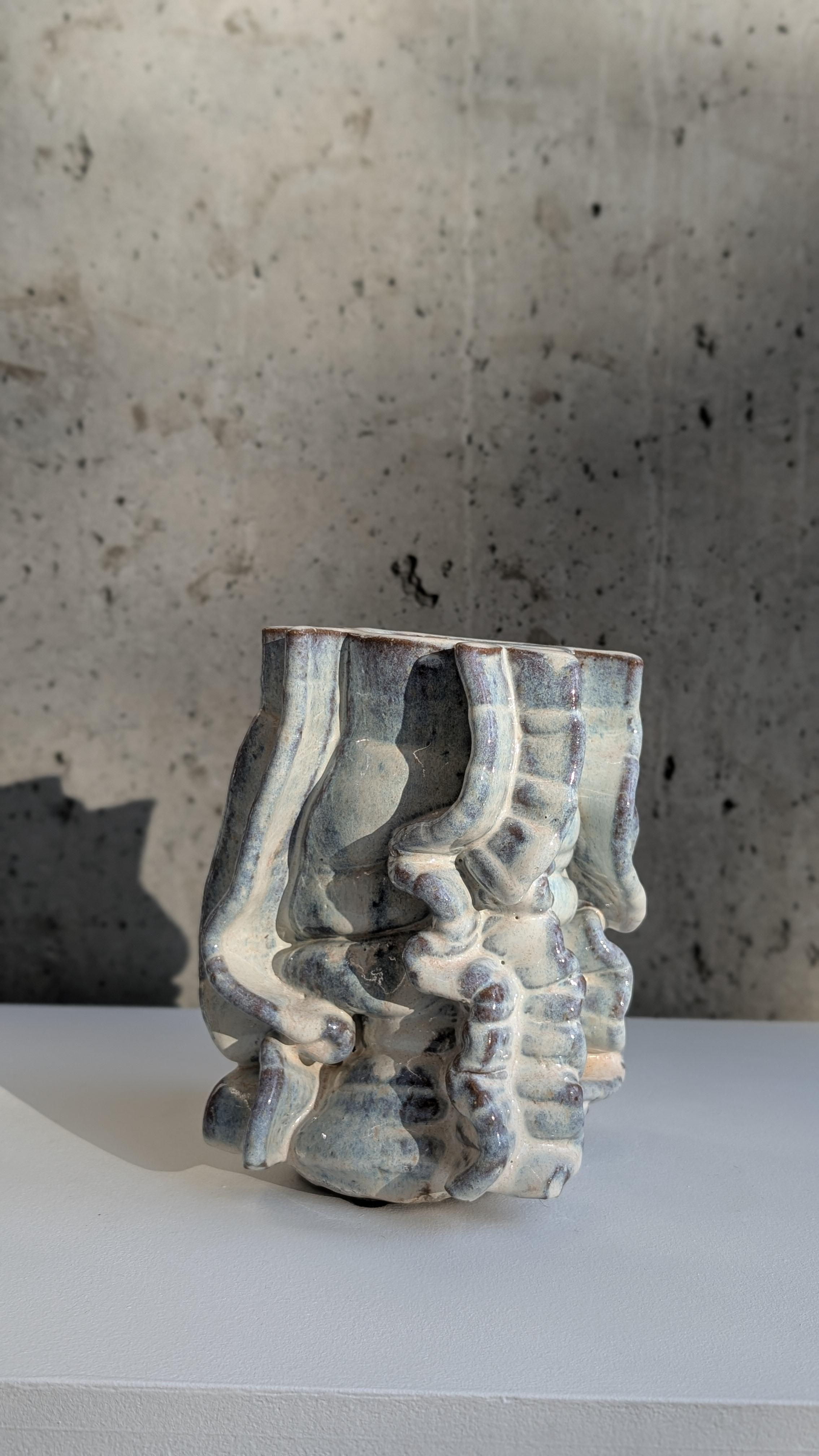 Recipiente EXT 009 en venta 1