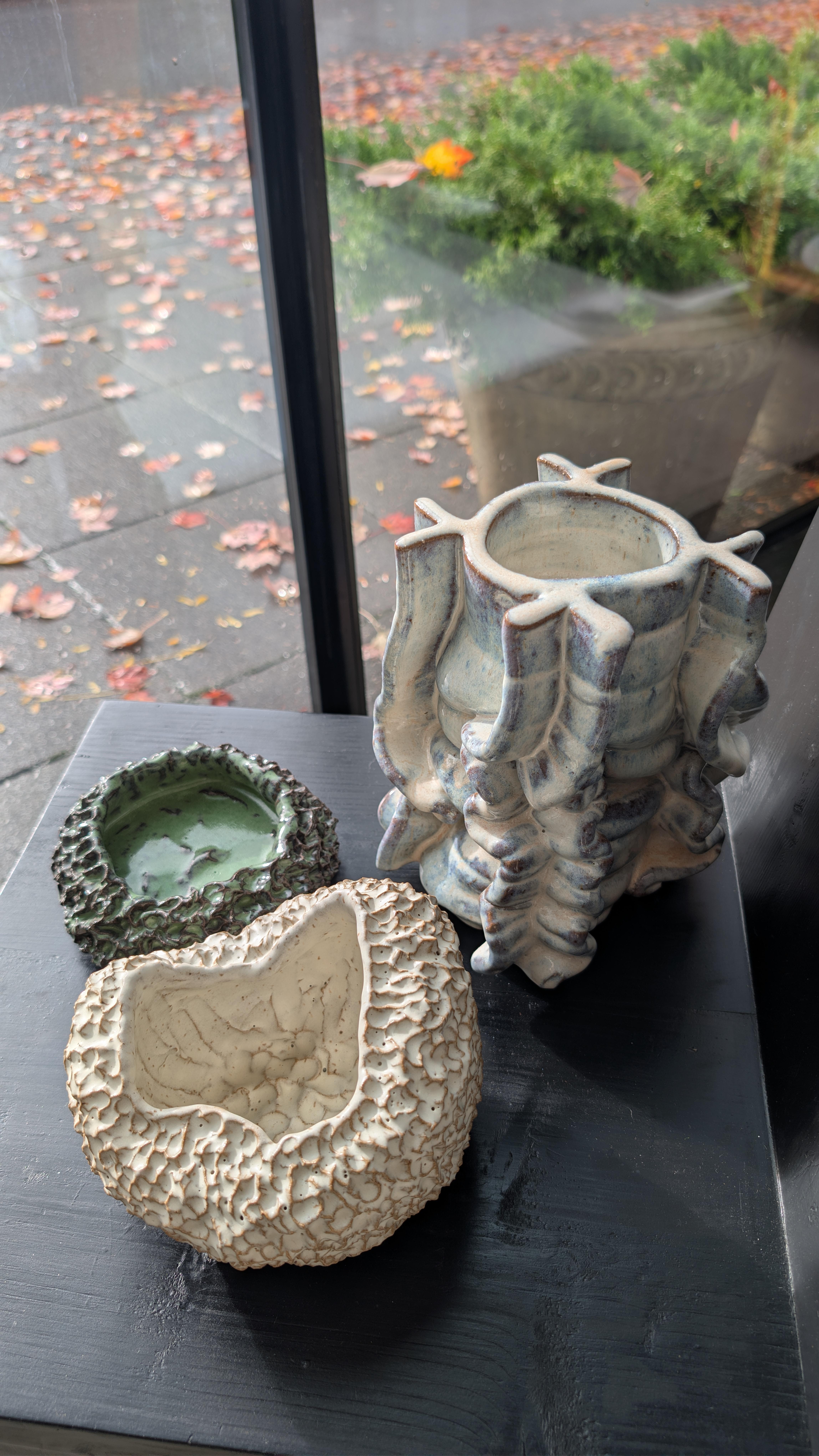 Recipiente EXT 009 en venta 4