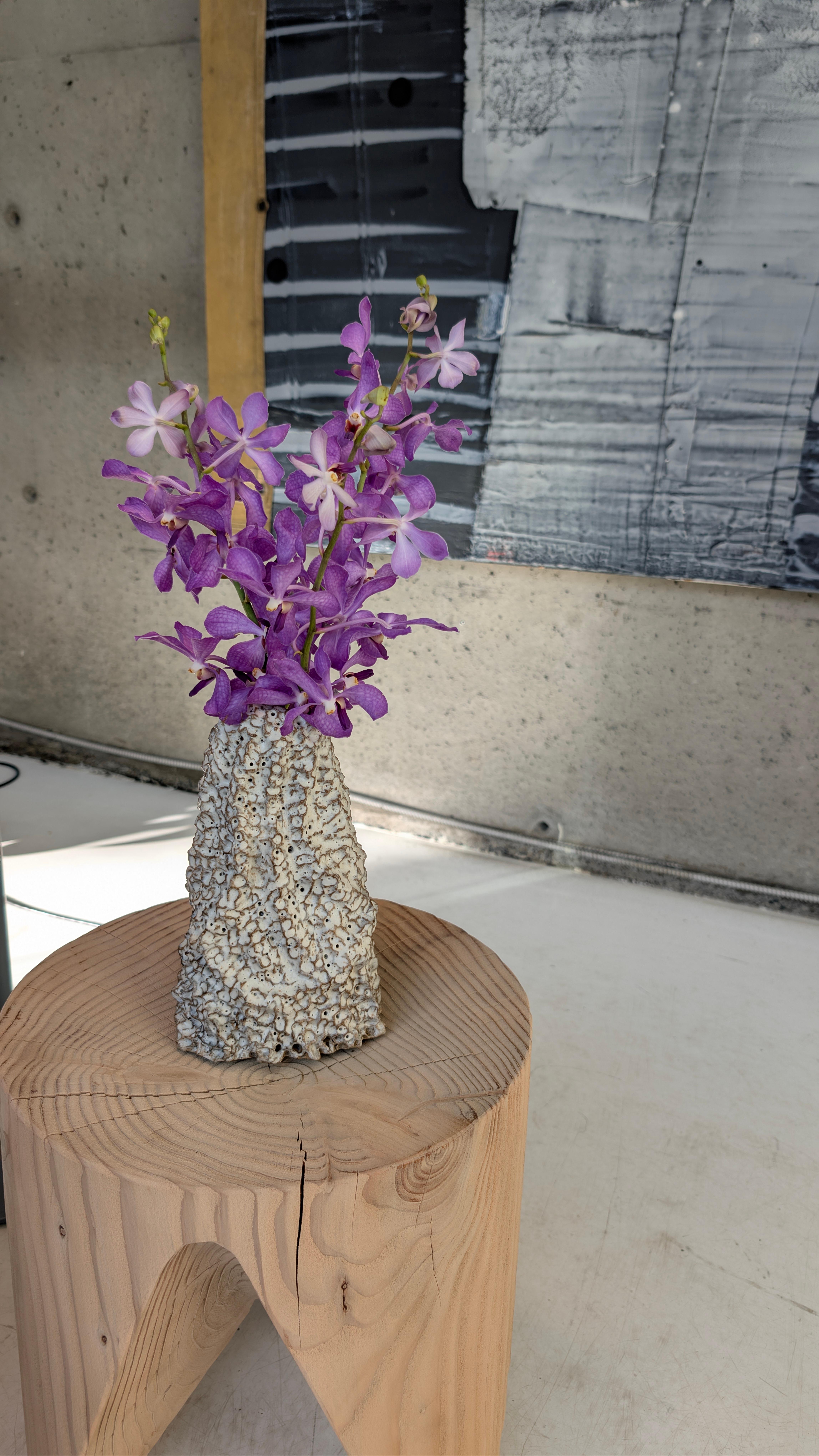 PNW Vessel 196 For Sale 2