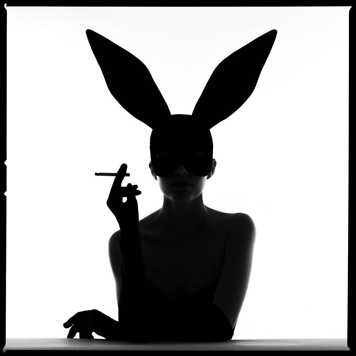 Tyler Shields Figurative Photograph - Bunny Silhouette III (18" x 18")