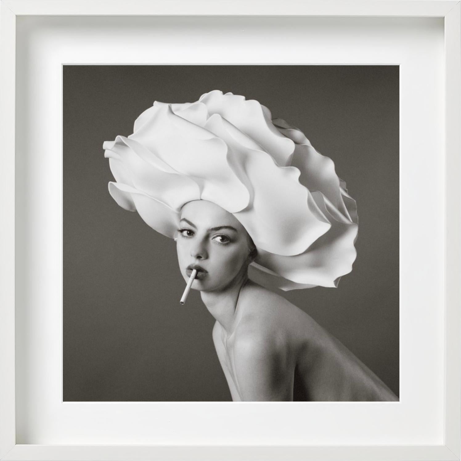 Blumenkopf, Kunstfotografie der bildenden Kunst im Angebot 4