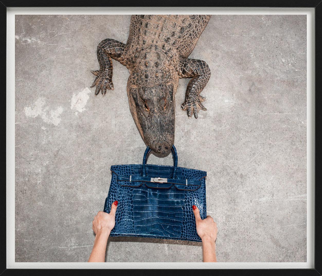 Gator Birkin II, Hand hält Birkin im Kampf mit dem Gator, Kunstfotografie, 2021 – Photograph von Tyler Shields