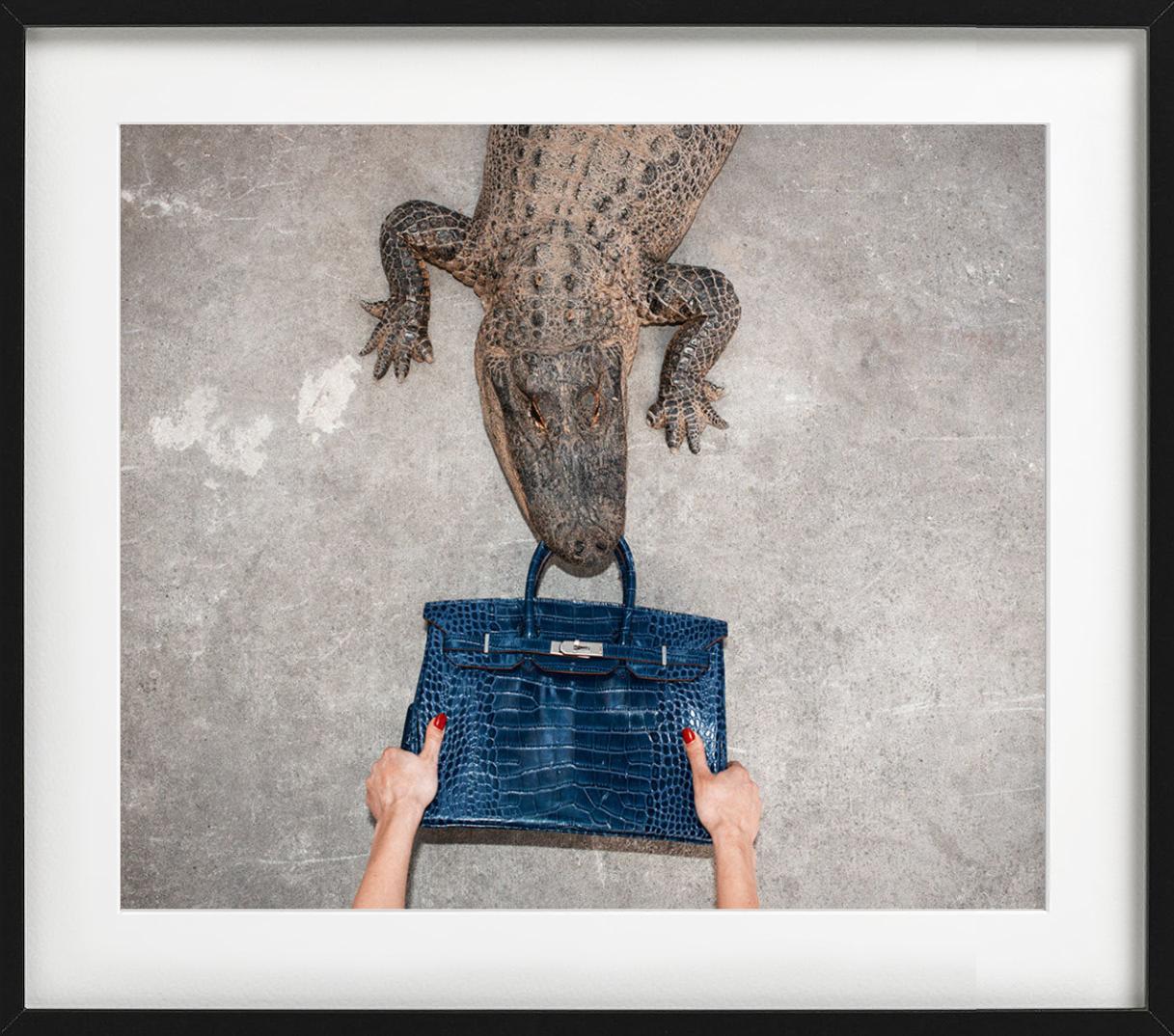 Gator Birkin II, Hand hält Birkin im Kampf mit dem Gator, Kunstfotografie, 2021 (Zeitgenössisch), Photograph, von Tyler Shields