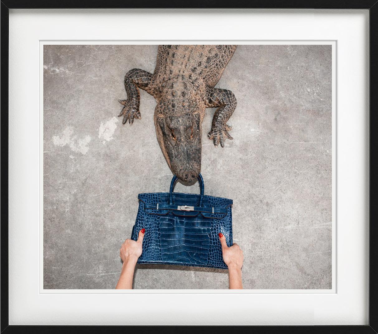 Gator Birkin II, Hand hält Birkin im Kampf mit dem Gator, Kunstfotografie, 2021 (Grau), Color Photograph, von Tyler Shields