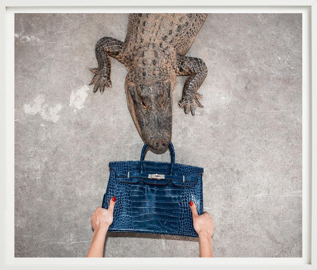 Gator Birkin II, Hand hält Birkin im Kampf mit dem Gator, Kunstfotografie, 2021 im Angebot 1