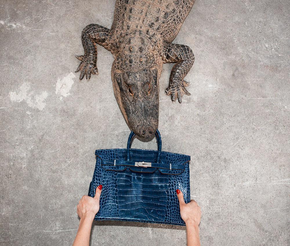 Tyler Shields Color Photograph – Gator Birkin II, Hand hält Birkin im Kampf mit dem Gator, Kunstfotografie, 2021