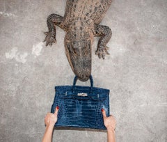 Gator Birkin II, Hand holding Birkin fighting Gator, Fine Art Photography, 2021