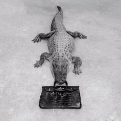 Gator Birkin Monochrome (18" x 18")