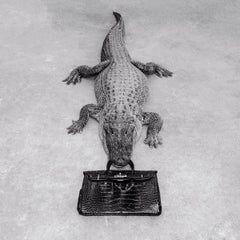 Gator Birkin Monochrome, Photography, Story teller, Bag, Silver gelatine