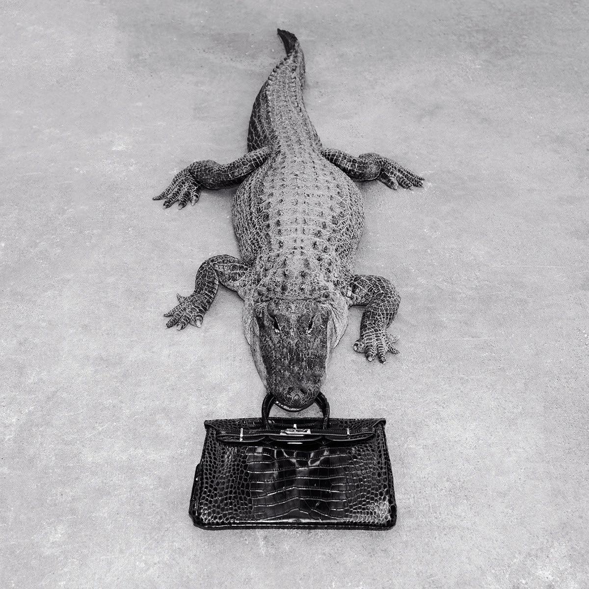 Tyler Shields Black and White Photograph - Gator Birkin Monochrome, Photography, Story teller, Bag, Silver gelatine