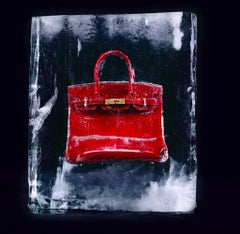 Frozen Luscious Cherry Red Birkin Bag On Ice/ Tyler Shields Cinematic Photograph