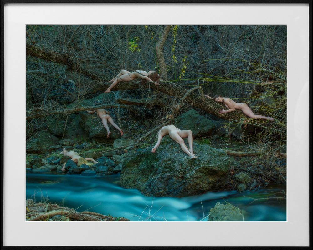 Lure, Chromogenic Print on Archival Paper, Framed