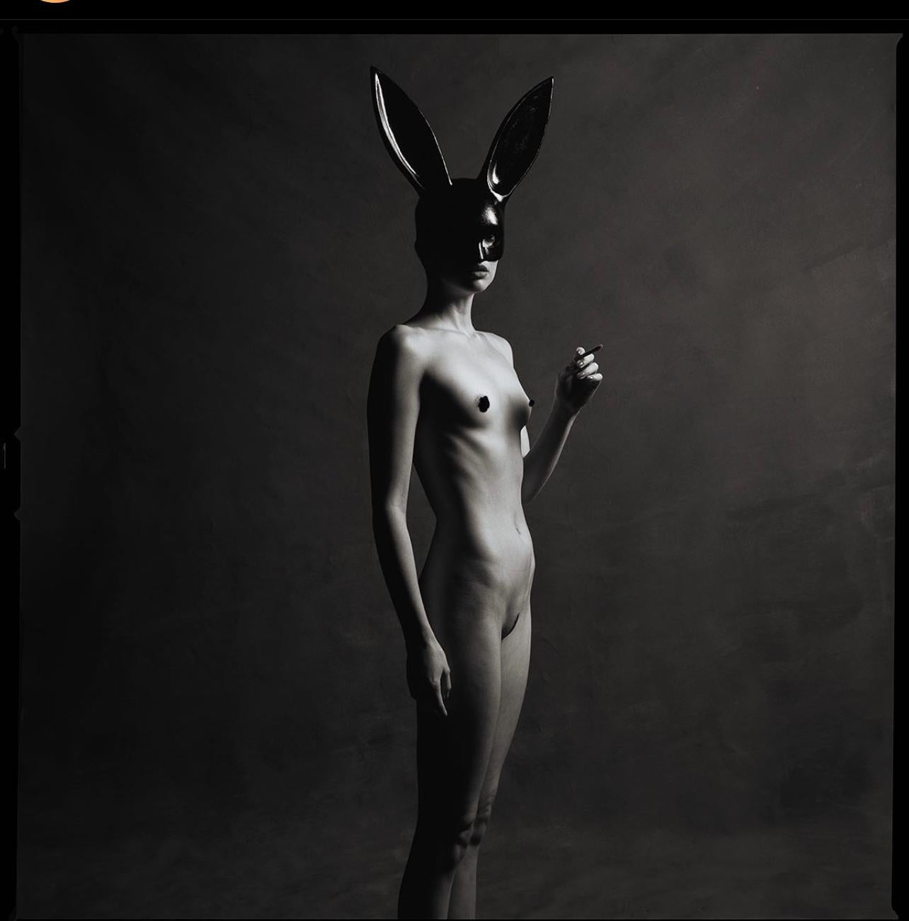 Monochrome Bunny (45" x45")