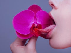 Orchid (30" x 40")