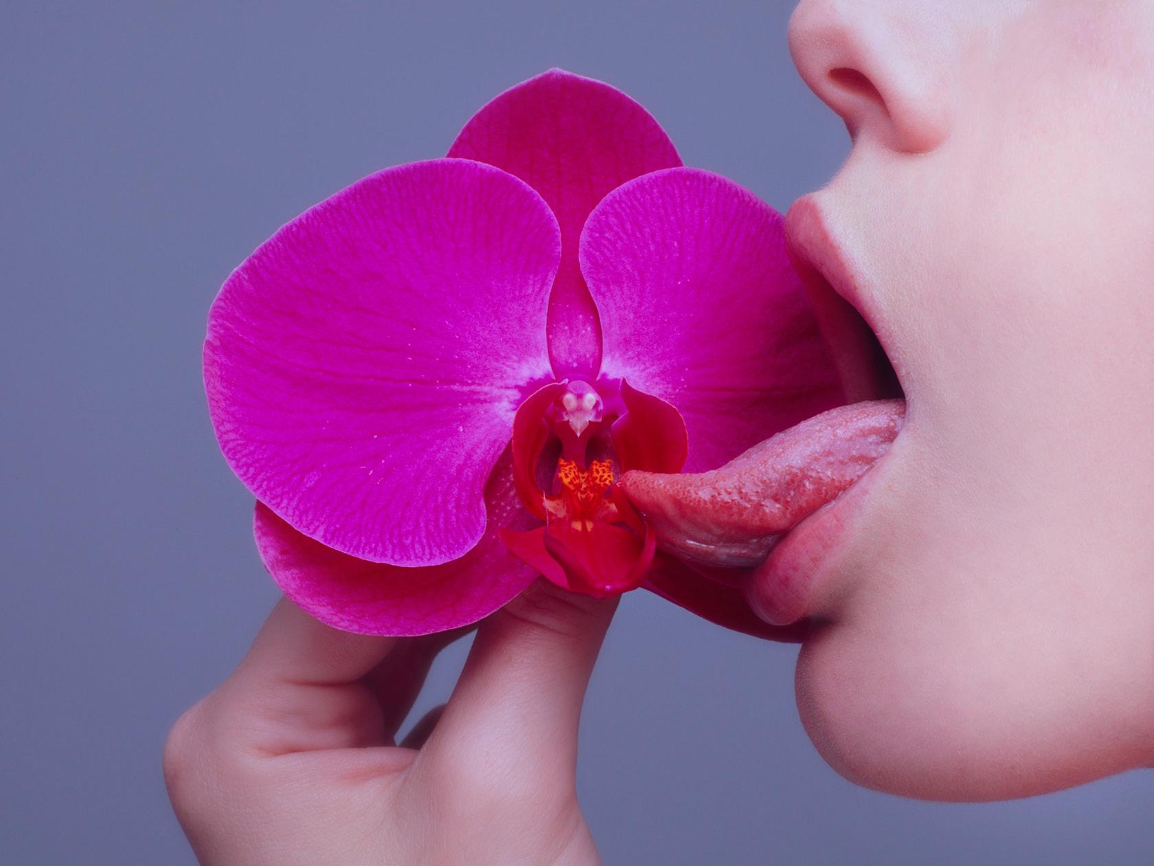 Tyler Shields Color Photograph - Orchid (56" x 72")