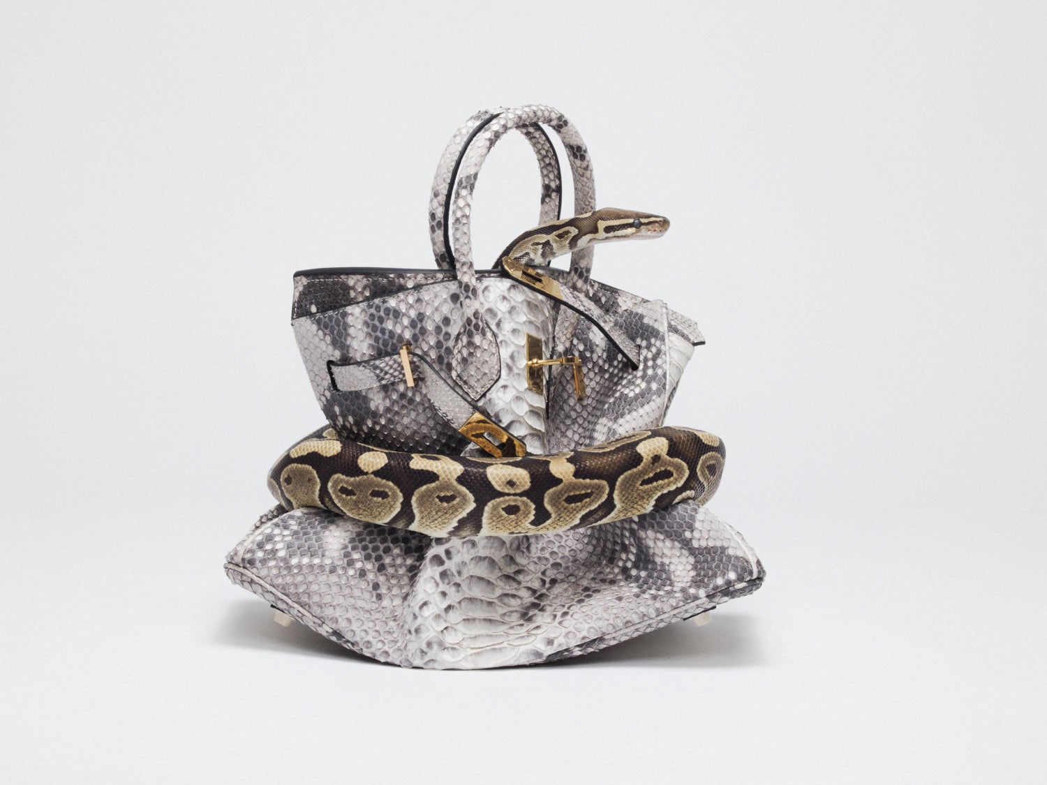 Hermes Python Bag - 18 For Sale on 1stDibs | hermes python bag price, python  hermes, birkin python price