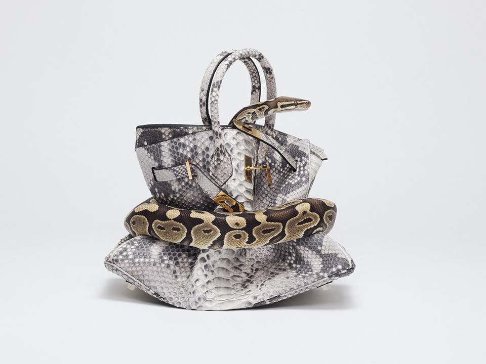Hermies Python Hermes Python Bag - 13 For Sale on 1stDibs | hermes python birkin ...