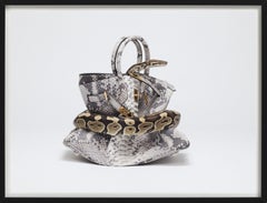 Python Birkin, Birkin in pelle di serpente soffocata dal pitone, fotografia d'autore, 2016