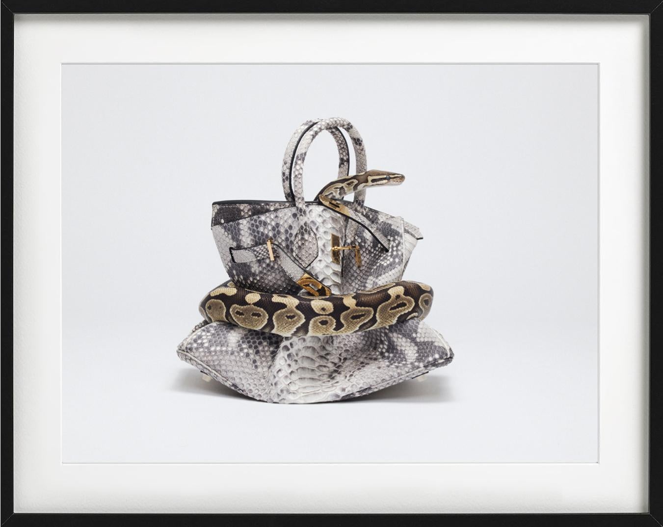Birkin de pitón, Birkin de piel de serpiente ahogada por pitón, Fotografía artística, 2016 - Photograph Contemporáneo de Tyler Shields