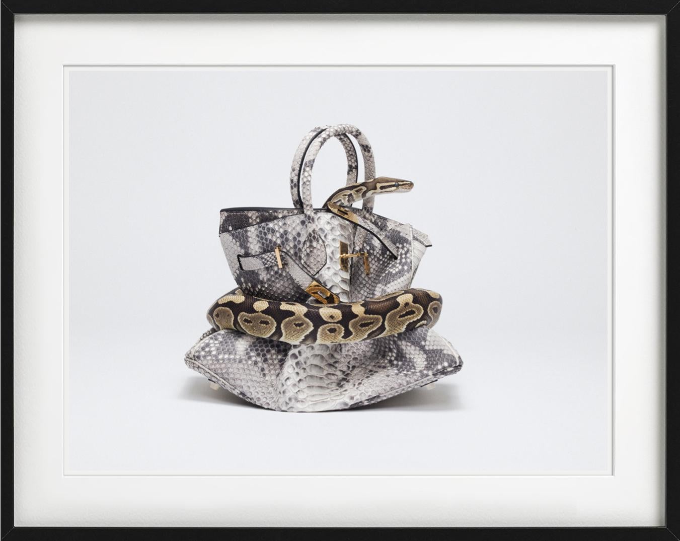 Birkin de pitón, Birkin de piel de serpiente ahogada por pitón, Fotografía artística, 2016 - Color Photograph Gris de Tyler Shields