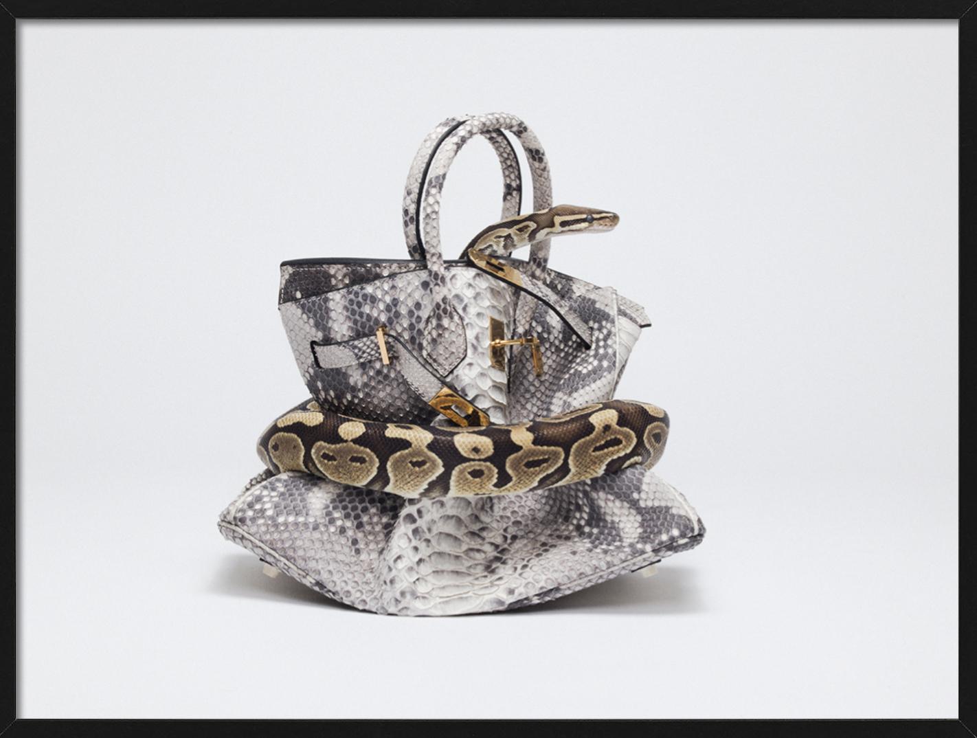 Icónico bolso Birkin de piel de serpiente, asfixiado por una serpiente pitón, fotografiado por Tyler Shields en 2016. 

Todas las impresiones son de edición limitada. Disponible en varios tamaños. Enmarcado de alta gama a petición.

Todas las