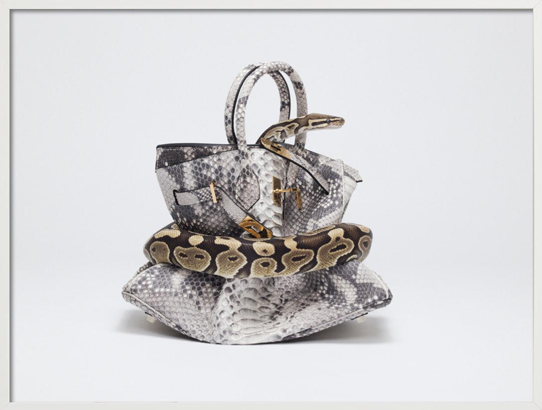 Birkin de pitón, Birkin de piel de serpiente ahogada por pitón, Fotografía artística, 2016 en venta 2