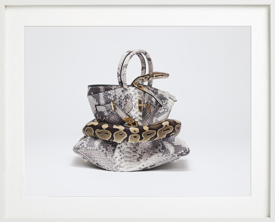 Birkin de pitón, Birkin de piel de serpiente ahogada por pitón, Fotografía artística, 2016 en venta 3