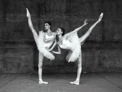 Swans
