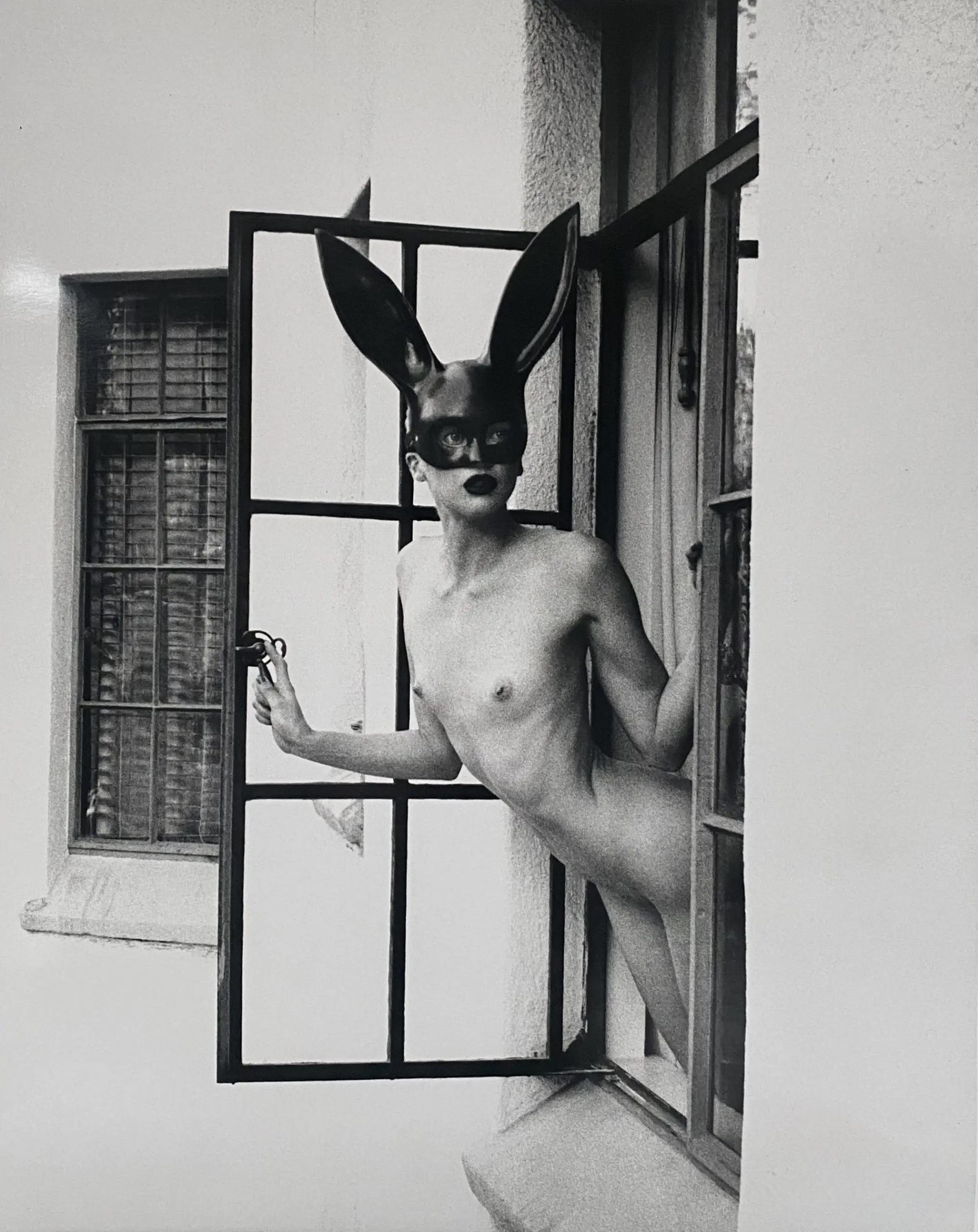 The Bunny In The Window (84" x 63")