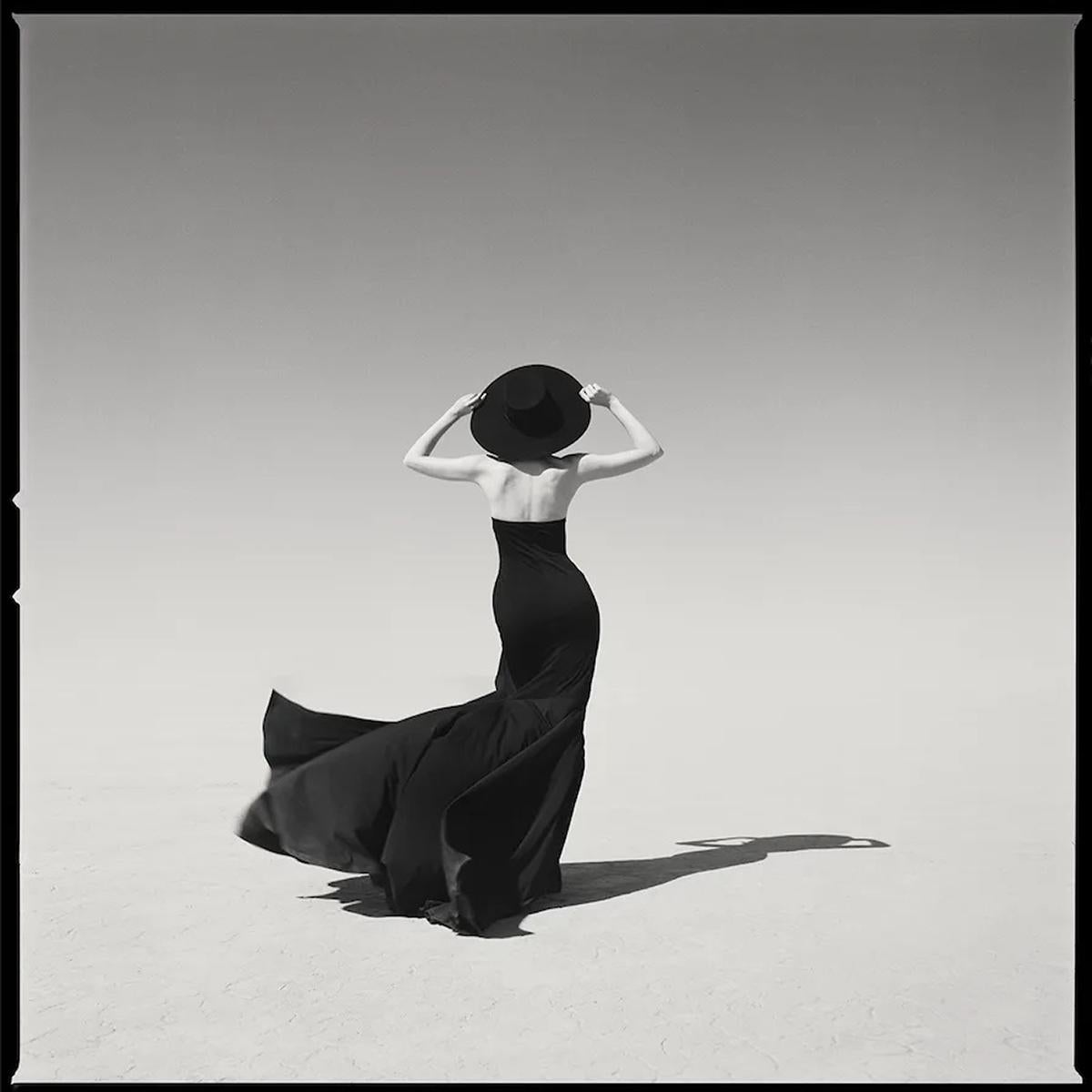 The Girl In The Wind