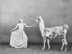 The pricess and the llama