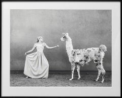 The pricess and the llama
