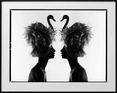 The two swans