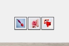 Triptychon Indulgence-Serie von Tyler Shields (Fotografie gerahmt)