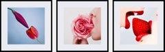 Triptych Indulgence series by Tyler Shields (Photography framed)