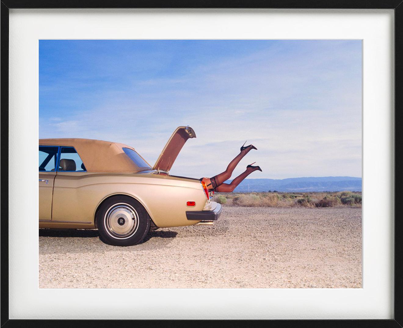 Trunk, Fine Art Photography For Sale 1