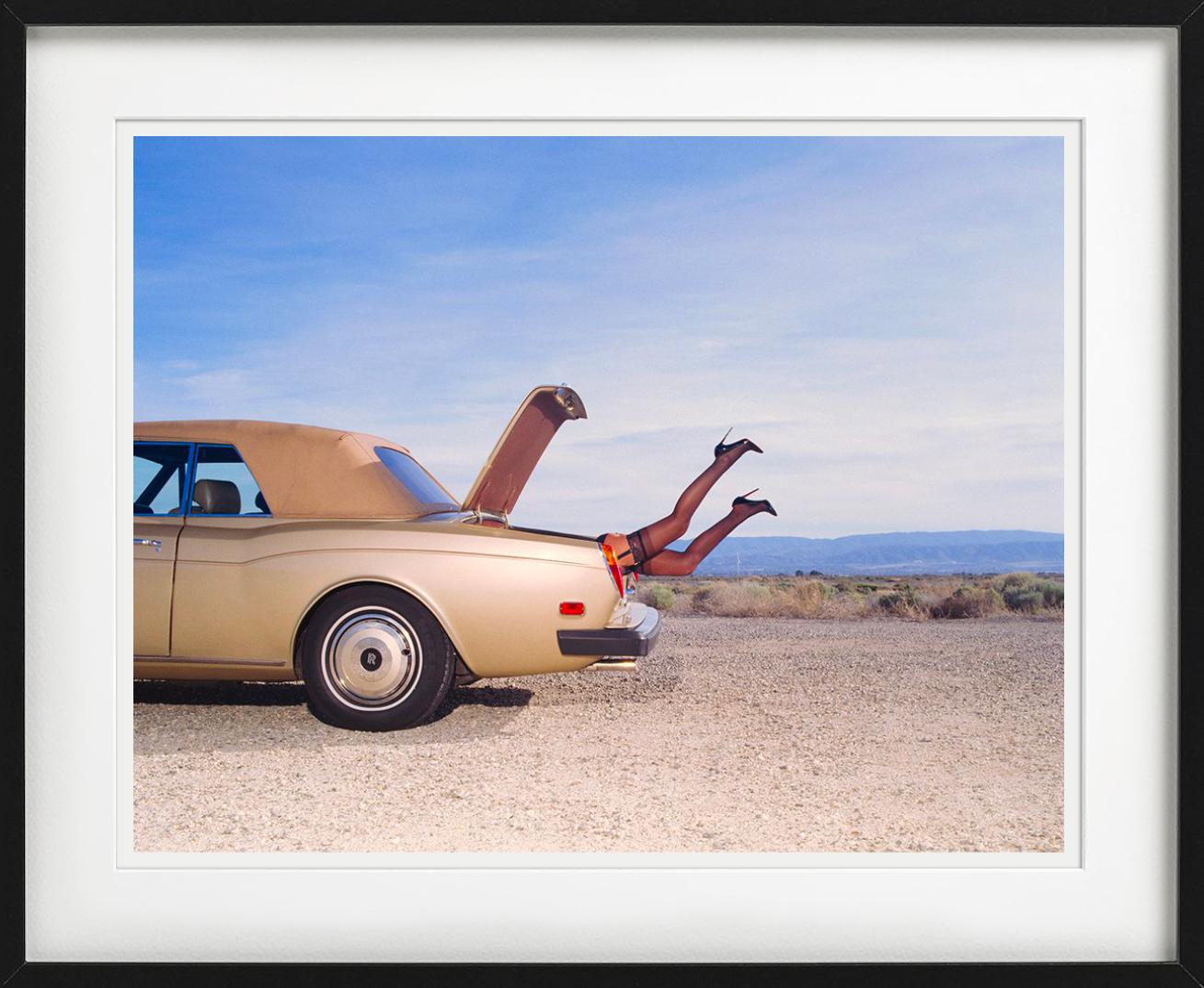 Trunk, Fine Art Photography For Sale 2