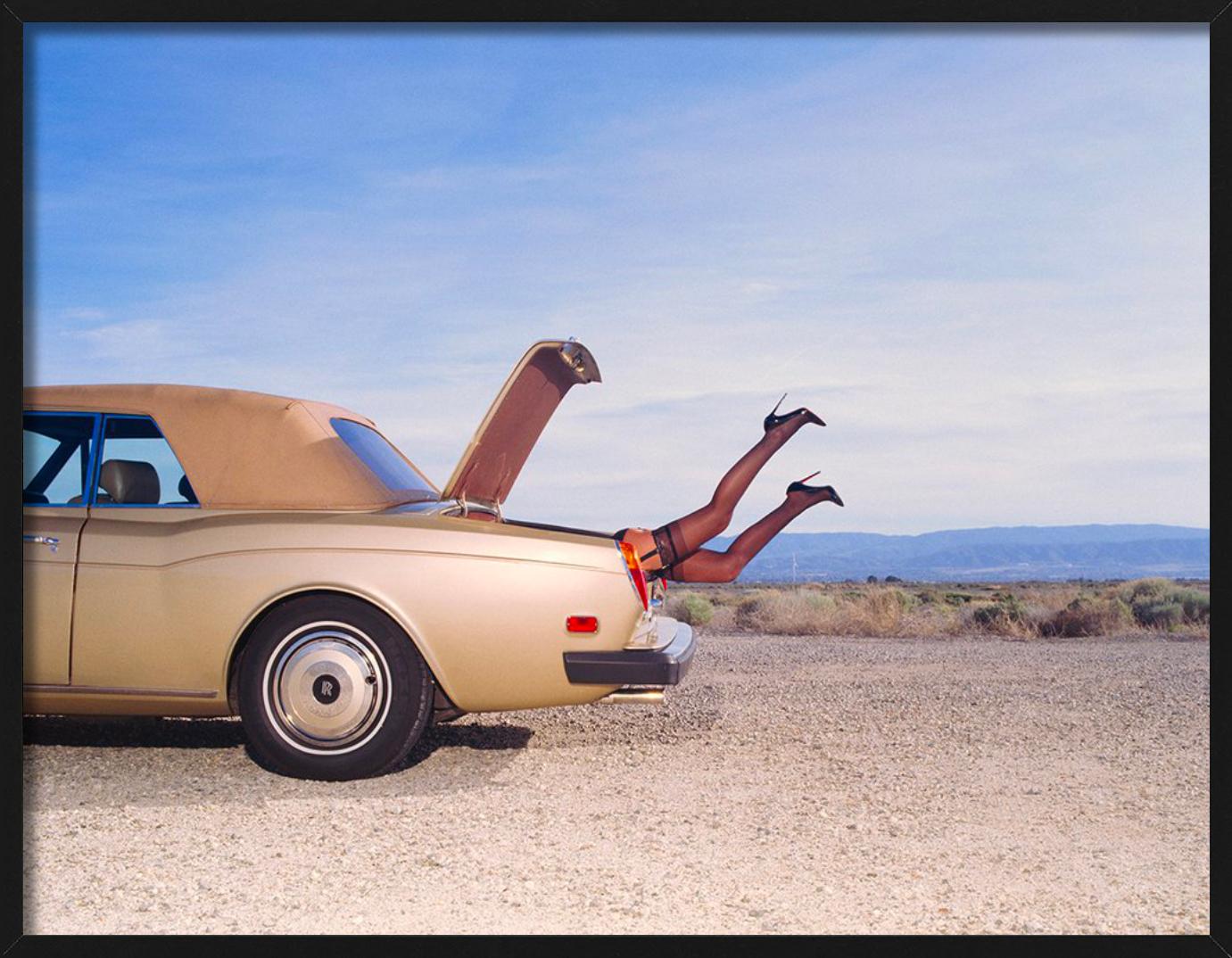 Trunk, Fine Art Photography For Sale 3
